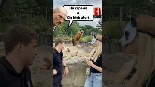 На стрёме