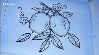 Easy step by step beautiful paper lemon and lemon flower drawing pencil sketch