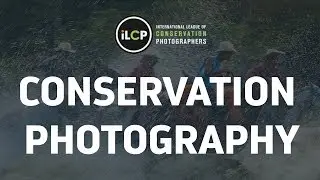 Witness: Defining Conservation Photography (iLCP)