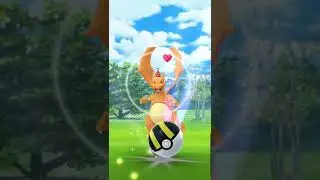 Pokemon Go Catching A Party Hat Charizard!