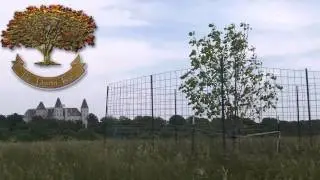 Steven T. Huff - And Story of The Liberty Tree At Pensmore