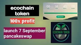 Ecochain 100X profit launching 7 September