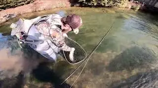 Mossy Creek Fly Fishing 2-8-2023