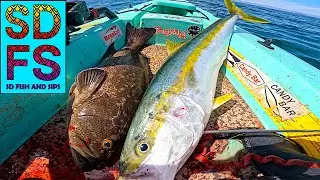 Рыбалка на Golden Reef в Нижней Калифорнии, желтохвост и групер, одиночная лодка, весна 2024, йо-...
