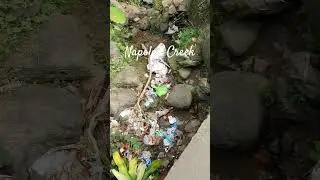 Napolan Creek Tapunan ng Basura Mabaho  #pagadiancity #viral #shorts #basura #facebook