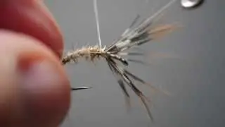 Tying the Gold Ribbed Hare's Ear Sakasa Kebari