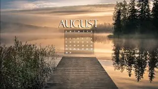 MODIE - August (No Copyright Music)