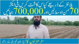 How to get better cotton production First cotton cultivation in Pakistan Cotton  - Niaz khan kherani