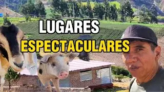 MIRA LO QUE ENCONTRAMOS EN UNA HERMOSA CAMINATA COSAS HERMOSAS Y DESAGRADABLE.