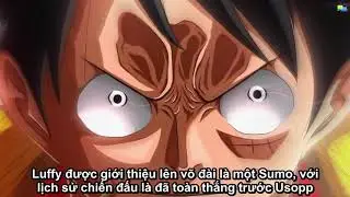[ One Piece ] Chapter 916 tiếng Việt : Luffy đấu Sumo || Truyện Tổng Hợp-HIHI