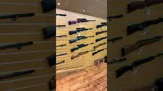 Soooo many spring Airguns to choose from