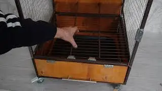  DIY Parrot Cage