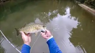 Early Autumn for Fly Rod Smallmouth