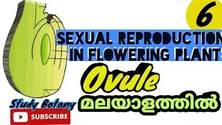 OVULE (MEGASPRANGIUM)-Sexual Reproduction In Flowering Plants MALAYALATHIL Study Botany Class 12