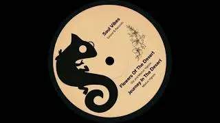 Soul Vibes - Flowers of the Desert ft. Valou & Marius Vignes