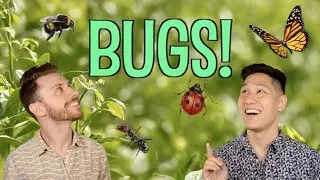 Davey K and Peter go bug catching [