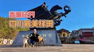 鐵牛旅行記837集/四川攀枝花冬天春暖花開自駕游過冬的好地方，免費停車露營看梯田美景，狗子也樂開花#狗是人类最忠诚的朋友