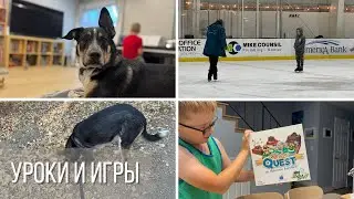 Volunteering at School / Individual Ice Skating Lesson