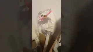 hobby horse Halfter halloween 🎃🍂🍁 #hobby horse