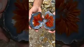 The discovery of a pile of red furry agate plumes on a mining cliff #jade #crystals #gemstones