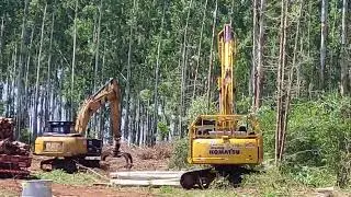 Arrancando el año 2026 #harvester #waratah #forest #viralvideo #viral #viralshorts #viralshort 
