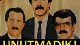 Dayka Savaş Tu Negri