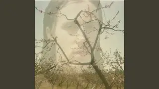 Ochraniacz