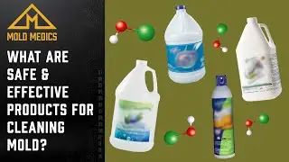 What are Safe & Effective Products for Cleaning Mold?
