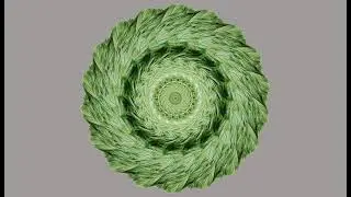 Homage to Nature