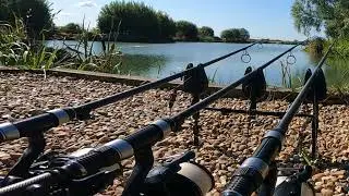 Left hand carp rod action