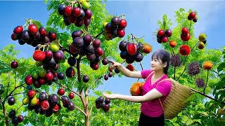 Amazing 48-Hours Harvest of Seedless Ripe Cherries &ndash; Traditional Fruit Cake Recipe from Rural Life