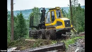 Nedtagning av skog 2 2025/07/23)