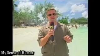 Reel YouTubeQuality