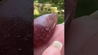 Strawberry Quartz healing stone ❤️chakra
