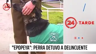El video de 
