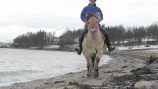 strandgalopp