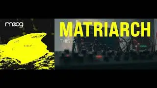 Moog Matriarch / No talking / One Shot in Sakartvelo