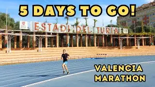 My SECRETS on How To Taper! Can I BREAK 2:18 in Valencia Marathon?