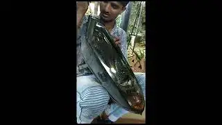 How to Install DRL Lights on Ford EcoSport | Goa