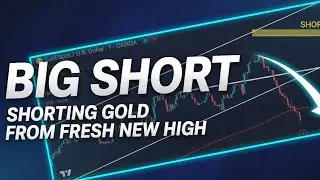 GOLD AT FRESH NEW HIGH : THIS IS WHY I KEEP SHORT AT ALL FRESH NEW HIGH, XAUUSD LIVE TRADE.