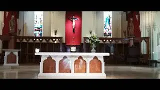 St Patrick Cathedral and Ferry Terminal,Auckland
