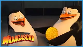 DreamWorks Madagascar | Private gets a gift | Penguins of Madagascar | Kids Movies