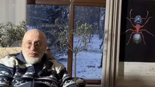 Tu sau dumneata?