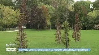 FEUILLETON : Le parc du château d'Azay-le-rideau, un écrin à préserver