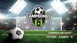 DOMINGO 08 JUNIO - TOTEM A
