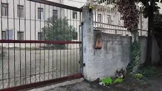 DELFICO / Ecco da dove entrano gli abusivi 
