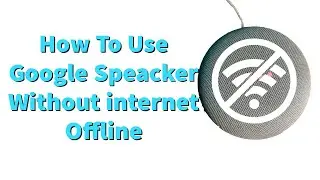 How To Use Google Speacker Without Internet