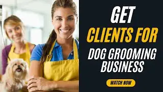 How to Get More Clients for Your Dog Grooming Business Fast! 🐶💼