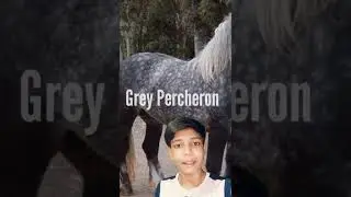 This Horse Can Change Its Color | Color Changing Horse|Aryan Speaks| #colorchangimghorse#aryanspeaks