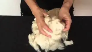 Kapok fiber explained